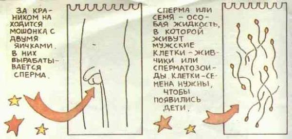 Откуда берутся дети? Откуда я взялся?