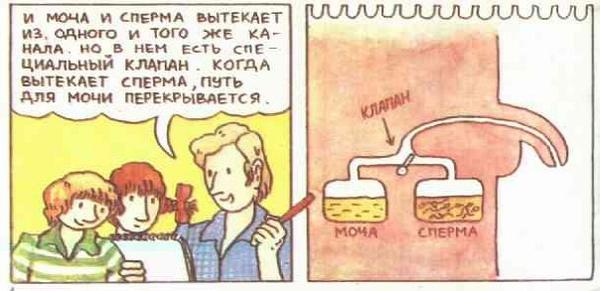 Откуда берутся дети? Откуда я взялся?
