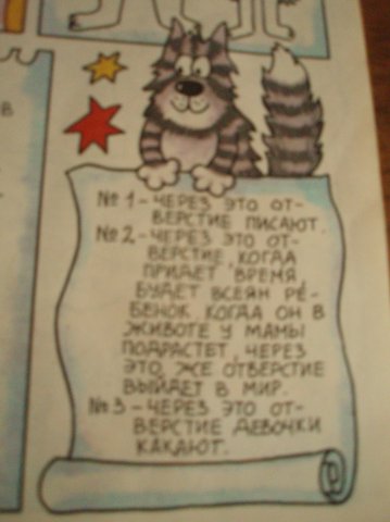 Откуда берутся дети? Откуда я взялся?