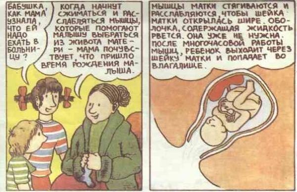 Откуда берутся дети? Откуда я взялся?
