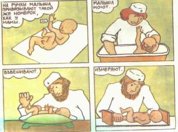 Откуда берутся дети? Откуда я взялся?