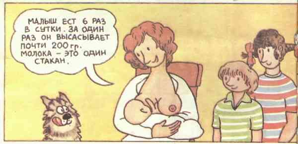 Откуда берутся дети? Откуда я взялся?